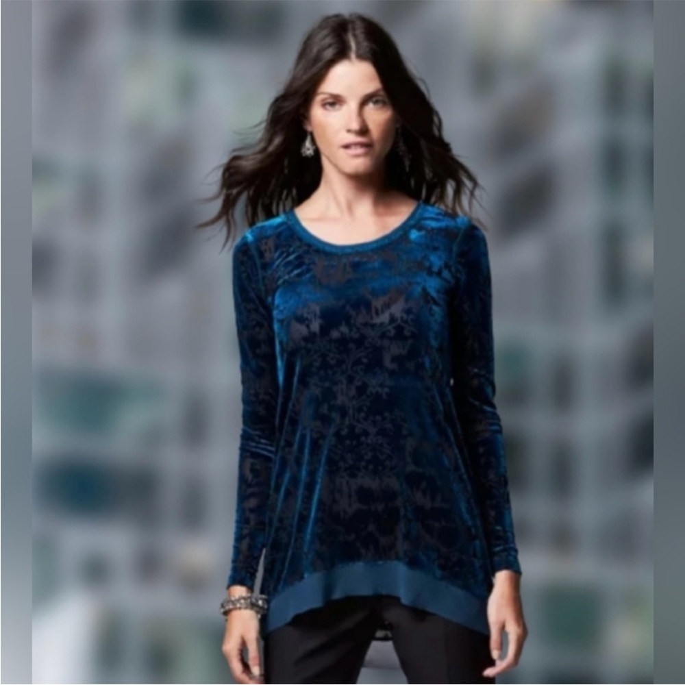 Simply Vera Vera Wang velvet burnout top fairy grunge whimsy goth teal black S